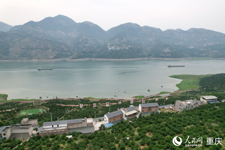 三沱村正以“三峽橙莊”建設(shè)為契機,描繪鄉(xiāng)村振興新圖景。人民網(wǎng)記者 劉政寧攝